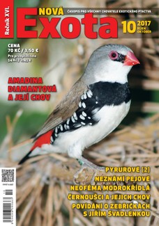Nová EXOTA 10/2017