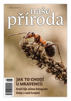 Naše příroda 4/2019