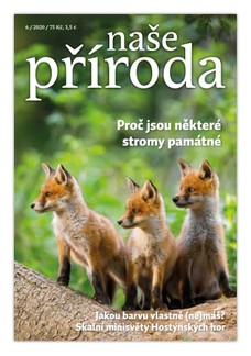 Naše příroda 6/2020