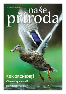 Naše příroda 3/2020