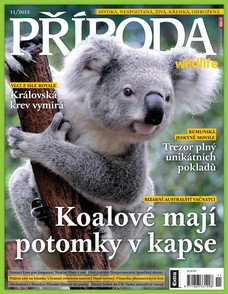 Příroda  11/2013