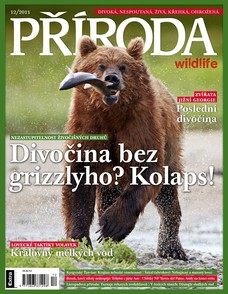 Příroda  12/2011