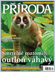 Příroda Wildlife - 3/2014