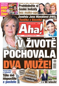 AHA! - 15.1.2024