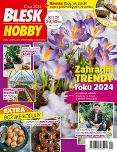 Blesk Hobby - 2/2024