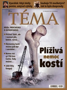 TÉMA DNES - 24.05.2024