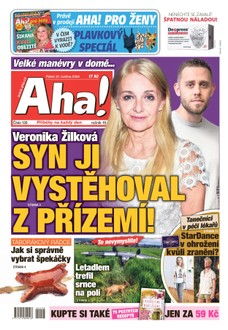 AHA! - 31.05.2024