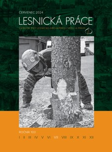 Lesnicka prace 2024 07