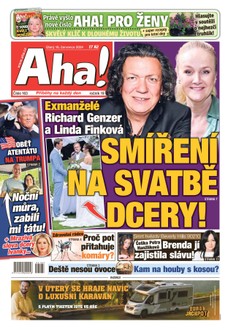 AHA! - 16.07.2024