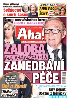 AHA! - 23.07.2024