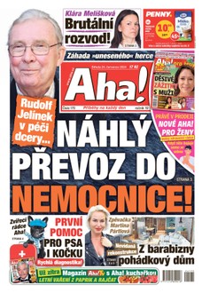 AHA! - 24.07.2024