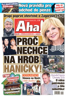 AHA! - 09.11.2024