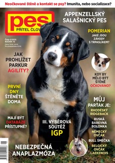Pes přítel člověka 5/2025