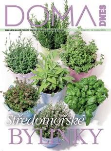 DOMA DNES - 30.04.2025