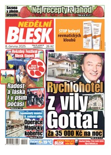 NEDĚLNÍ BLESK - 08.06.2025