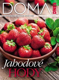 DOMA DNES - 11.06.2025