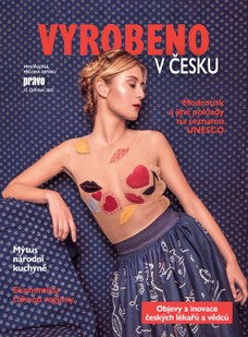 Mimořádné přílohy - 13.6.2025