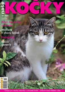 Naše kočky, 10-2025