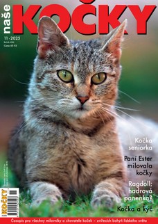 Naše kočky, 11-2025