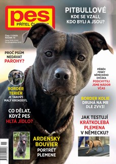Pes přítel člověka 11/2025