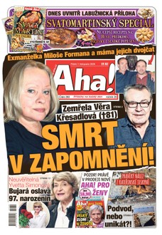 AHA! - 07.11.2025