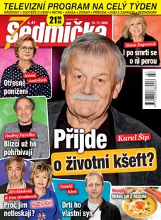 Sedmička 47/2025