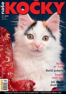Naše kočky, 12-2025