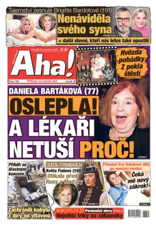 AHA! - 29.12.2025