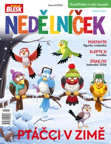 NEDĚLNÍČEK - 1/2026