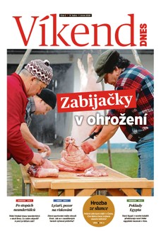 Víkend DNES Jižní Čechy - 31.01.2026