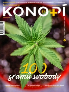Konopí č. 37