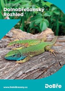 Dolnobřežanský Rozhled