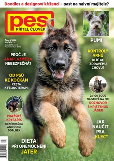 Pes přítel člověka 5/2026