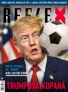 REFLEX - 24/2026