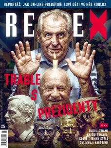 REFLEX - 25/2026