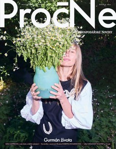 HN 117 - 19.6.2026 PročNe
