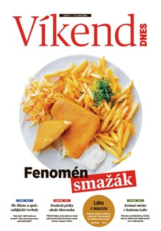 Víkend DNES Jižní Čechy - 01.08.2026