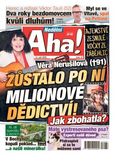 NEDĚLNÍ AHA! - 13.09.2026
