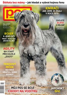 Pes přítel člověk 10/2026