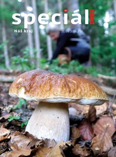 Magazín DNES Speciál Zlínský - 25.09.2026
