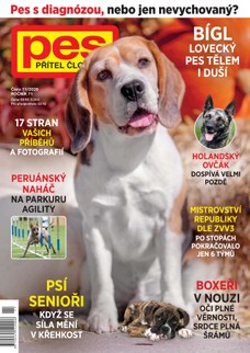 Pes přítel člověka