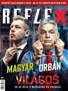 REFLEX - 44/2026
