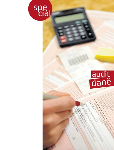 Audit - daně