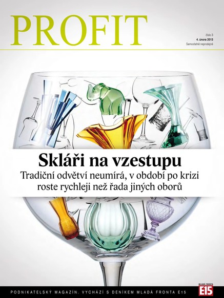 Profit 4.2.2013
