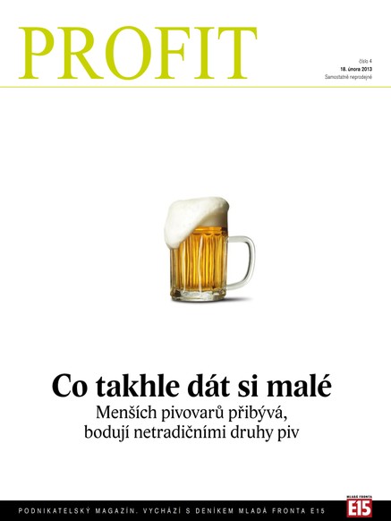 Profit 18.2.2013