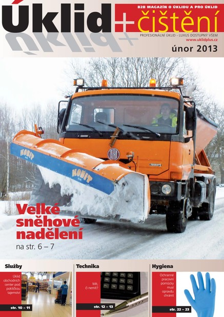 Úklid plus čištění únor 2013
