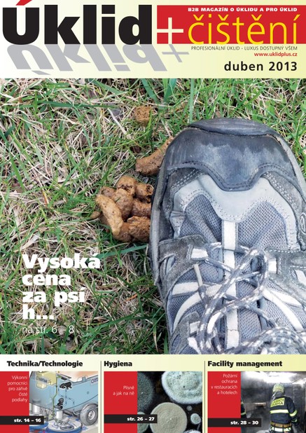 Úklid plus čištění duben 2013