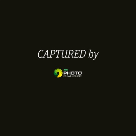 MetroPhotoChallenge.com