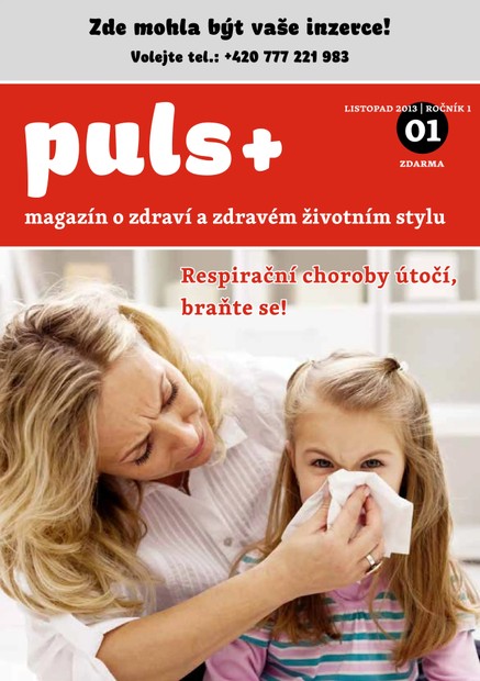 Puls 1/2013