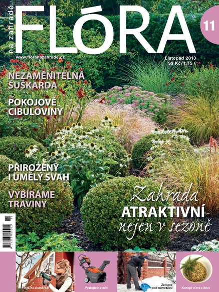 Flóra na zahradě 11/2013